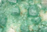 Green, Fluorescent, Cubic Fluorite Crystals - Madagascar #246163-1